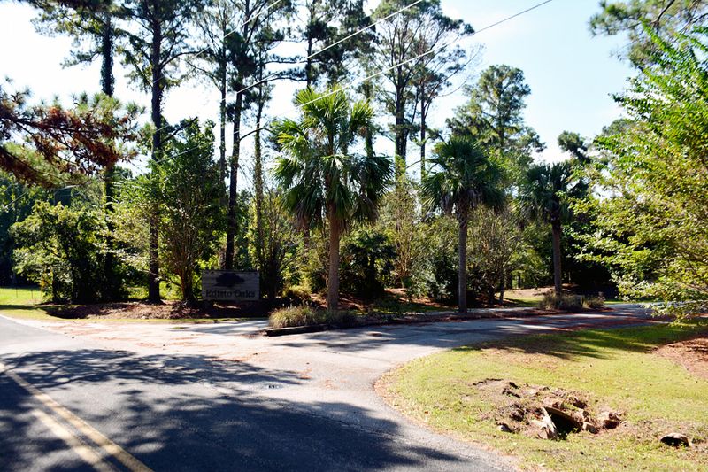 37 Deer Track Dr, Edisto Island, SC 29438