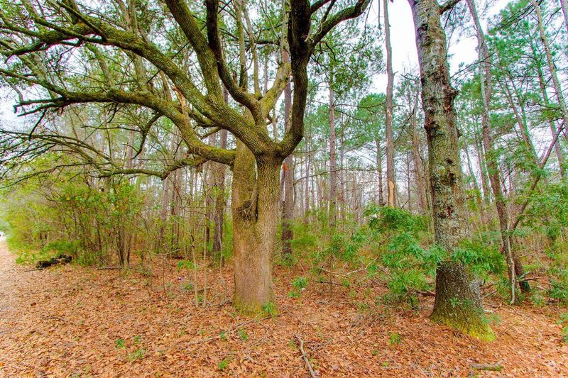 263 Garbon Dr, Summerville, SC 29485