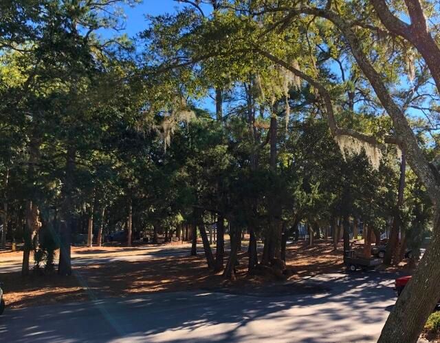 480 Sea Cloud Cir #480, Edisto Island, SC 29438