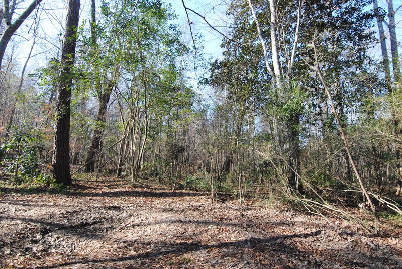 0 Twin Lakes Dr, Summerville, SC 29483