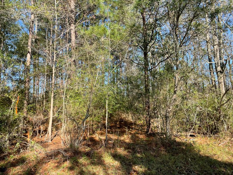 3 Dotson St, Harleyville, SC 29448