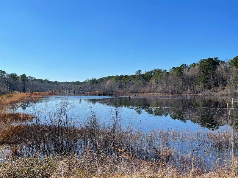 103 Tootsie Ln, Huger, SC 29450