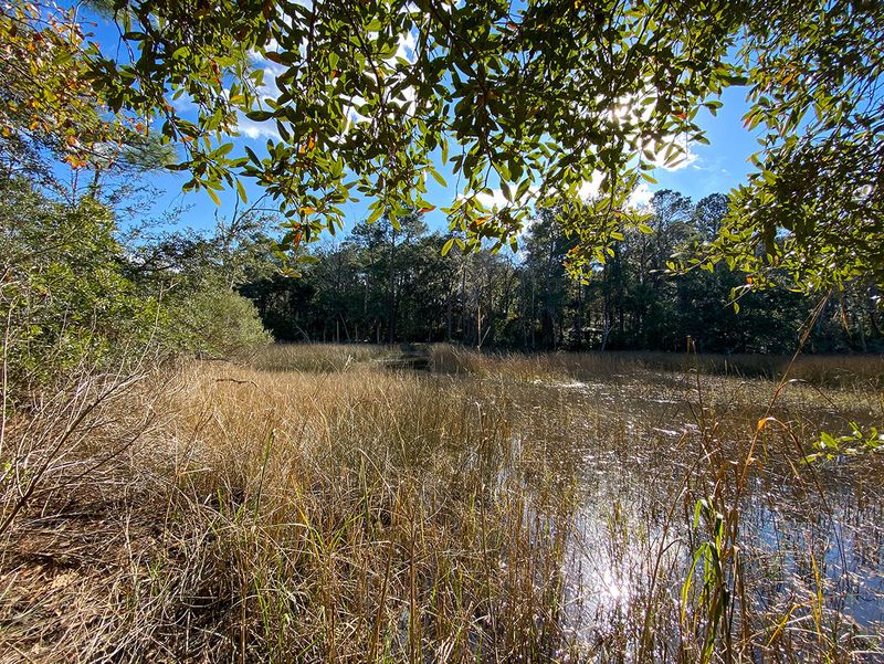 4625 Lazy Creek Ln, Wadmalaw Island, SC 29487