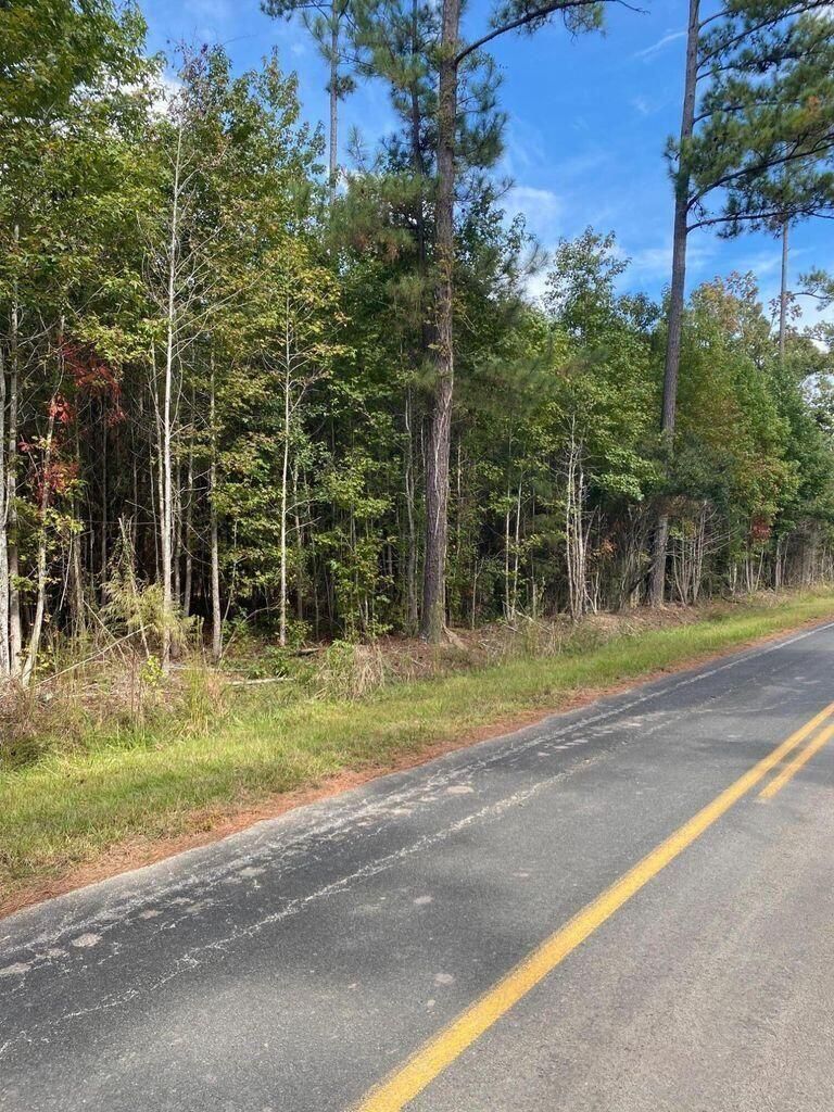 8016 Old Jacksonboro Rd, Adams Run, SC 29426