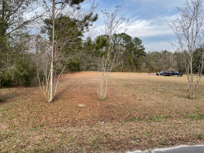 124 Hilton St, Harleyville, SC 29448
