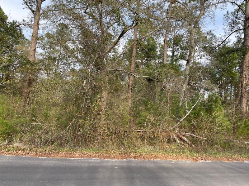 108 Hilton St, Harleyville, SC 29448