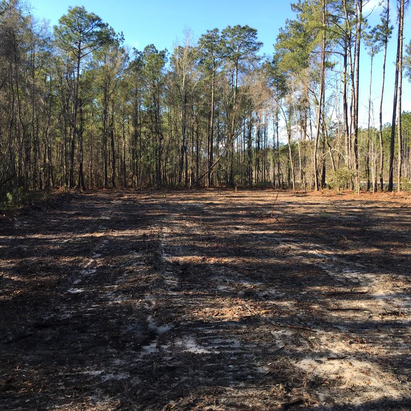 6151 N Hwy 17, Awendaw, SC 29429