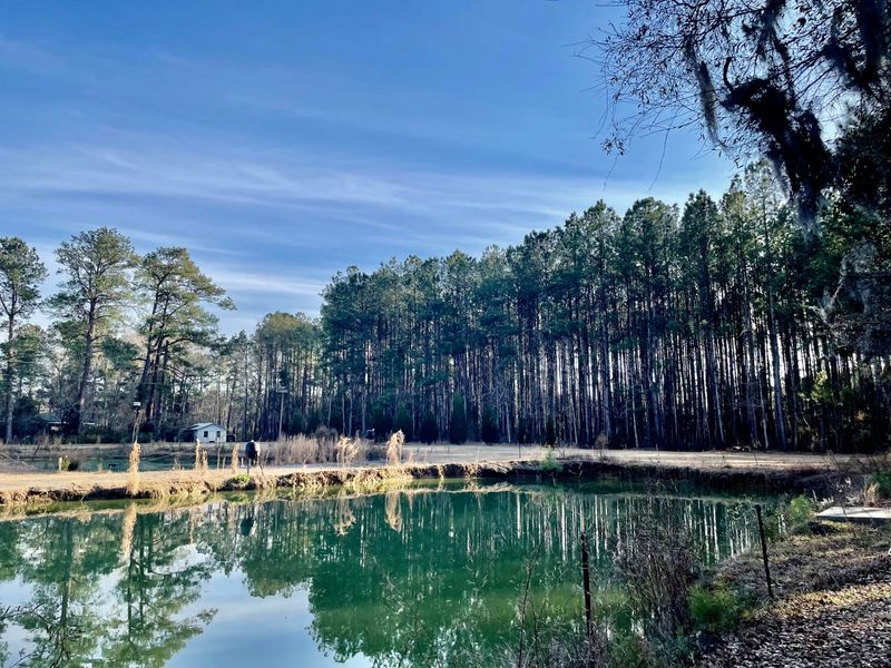 928 Double L Trl, Jamestown, SC 29453