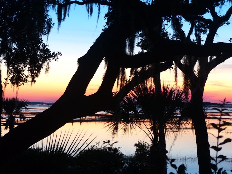 3135 Laughing Gull Ct, Seabrook Island, SC 29455
