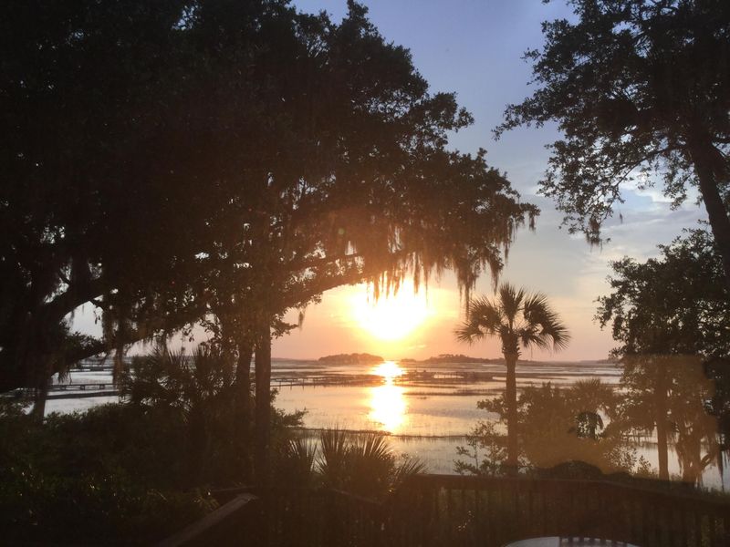 3135 Laughing Gull Ct, Seabrook Island, SC 29455