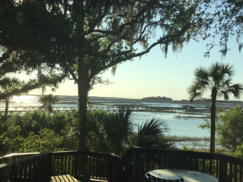 3135 Laughing Gull Ct, Seabrook Island, SC 29455