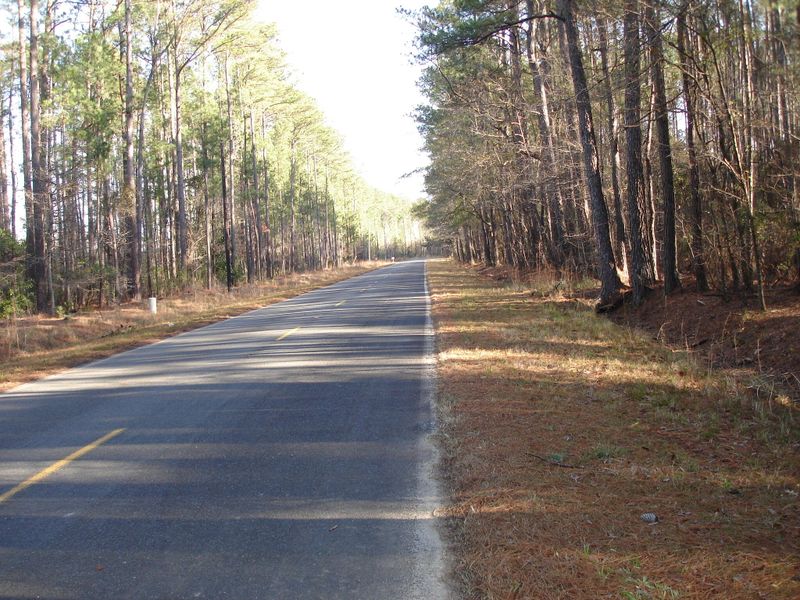 6768 Spring Grove Rd, Adams Run, SC 29426