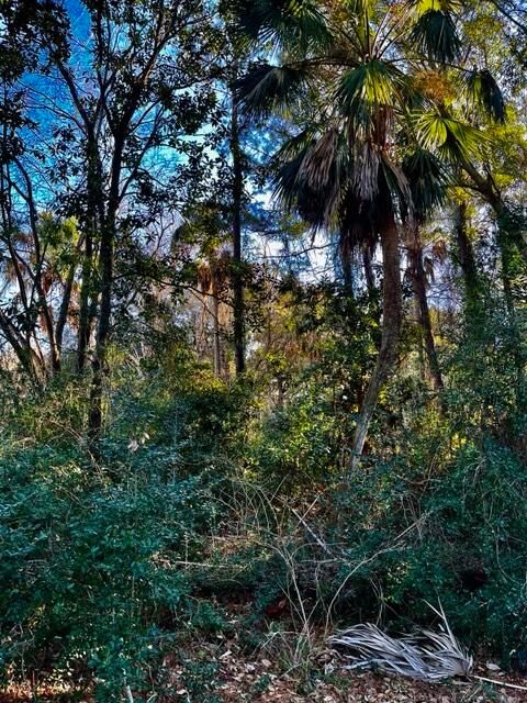 26 Oyster Row, Isle Of Palms, SC 29451