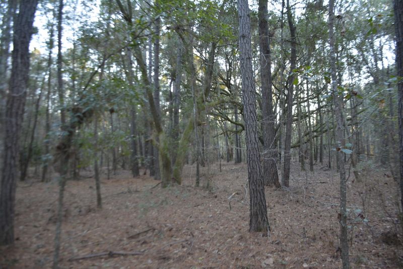 0 Red House Rd Lot 7, Edisto Island, SC 29438