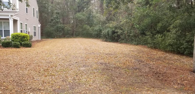 1118 Santa Elena Way, Johns Island, SC 29455