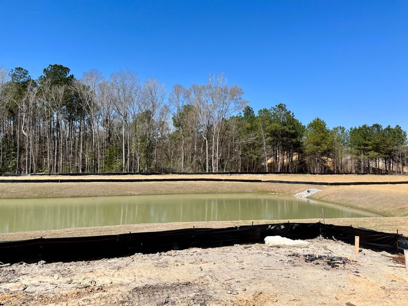 113 Slater Lake Ln, Summerville, SC 29483