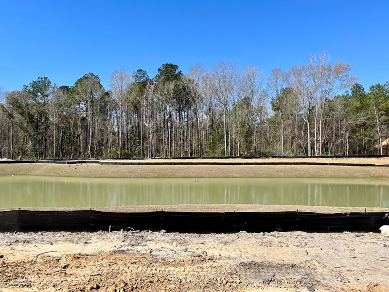 113 Slater Lake Ln, Summerville, SC 29483
