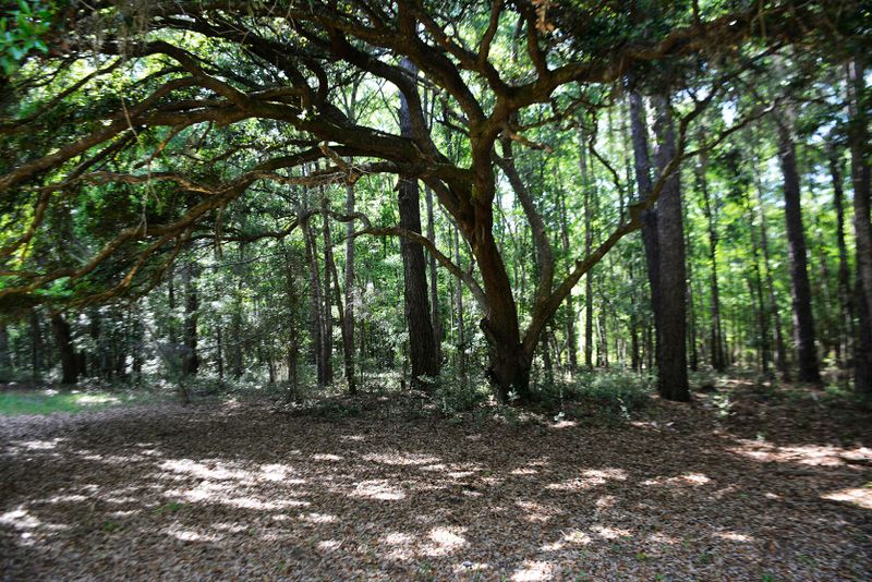 2 Red House Rd, Edisto Island, SC 29438