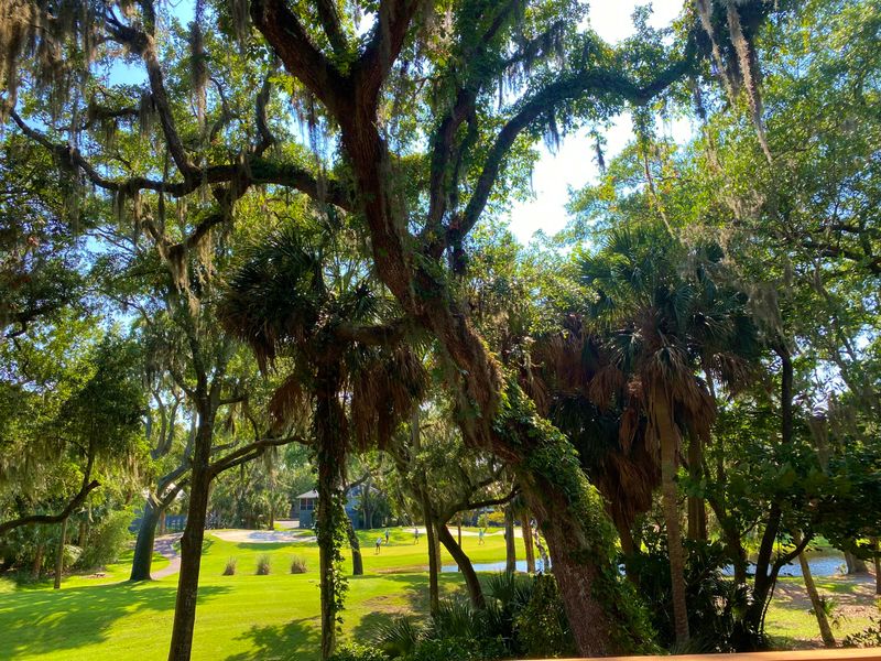 331 Sea Cloud Cir, Edisto Island, SC 29438