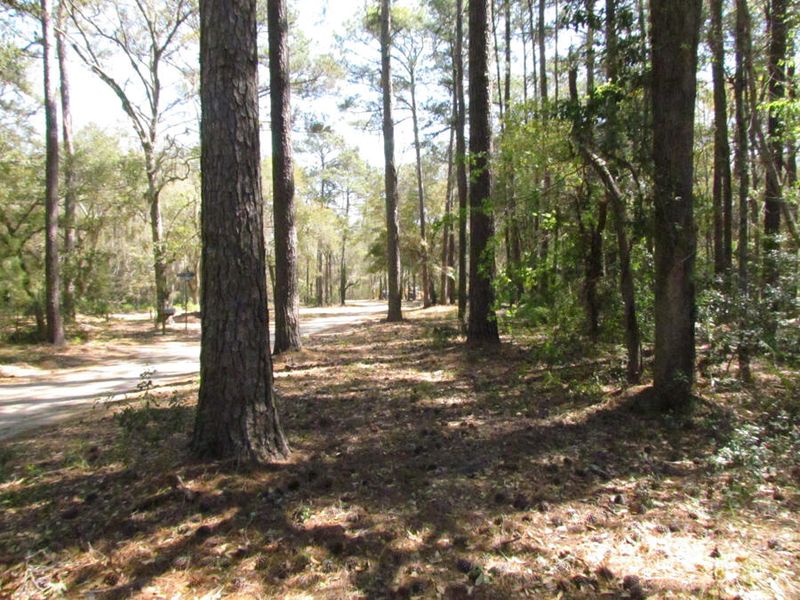 1e-A Cotton Bay Ct, Edisto Island, SC 29438