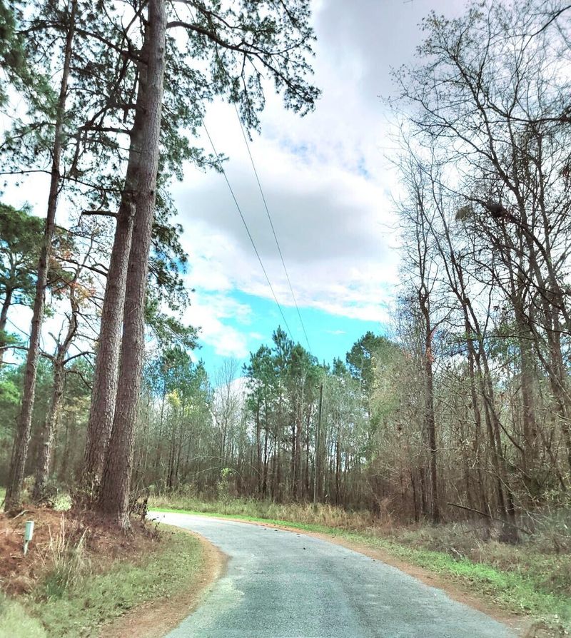 258 Smith Ln, Bowman, SC 29018