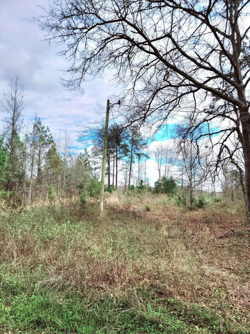 258 Smith Ln, Bowman, SC 29018
