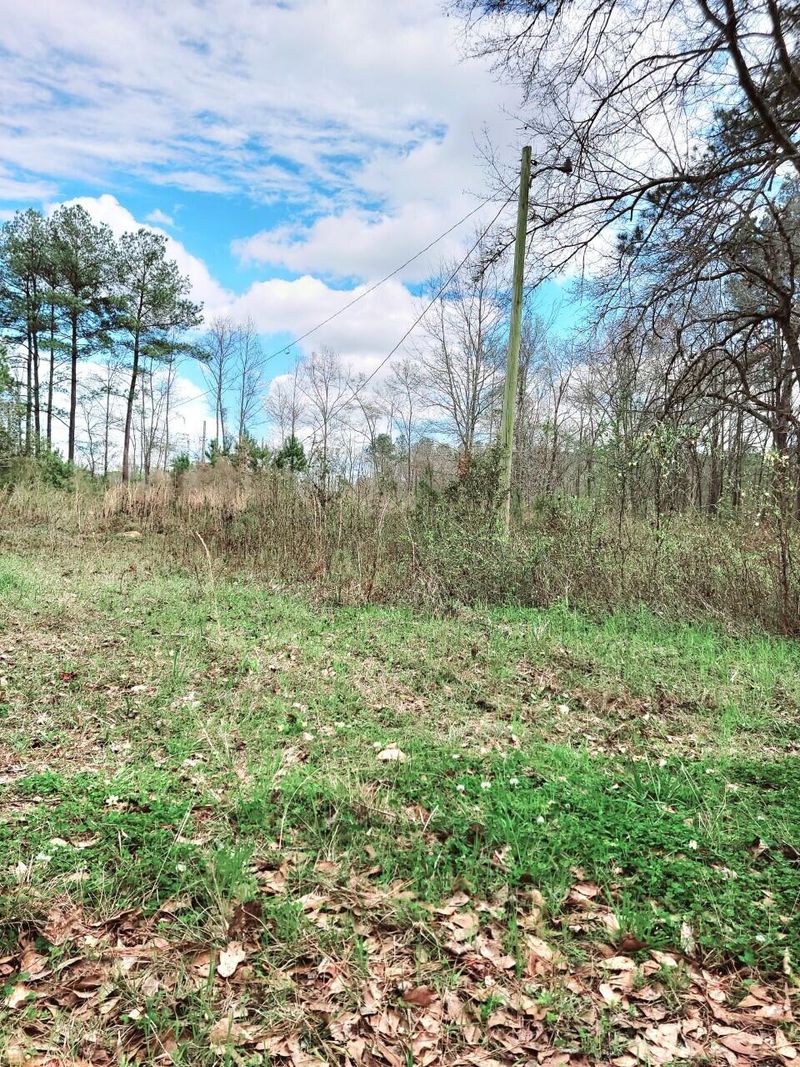 258 Smith Ln, Bowman, SC 29018