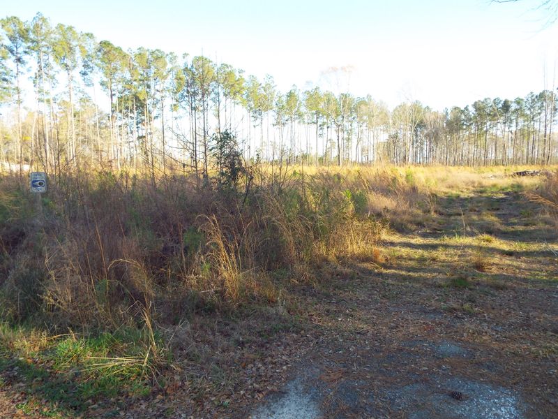 1085 Lot B Whitehouse Rd, Summerville, SC 29486