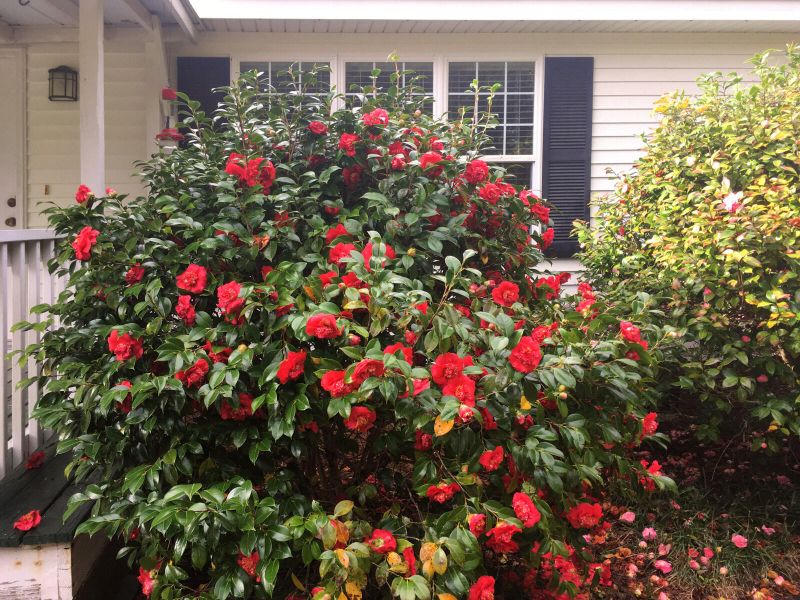 5673 Dixie Plantation Rd, Hollywood, SC 29449