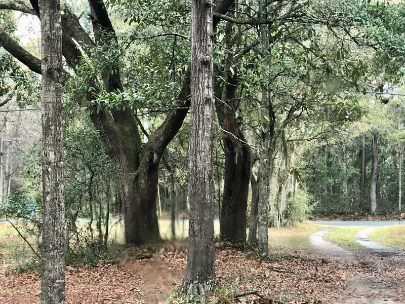 0 Duck Pond Rd, Johns Island, SC 29455