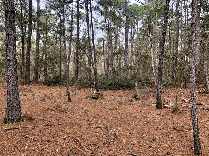 0 Duck Pond Rd, Johns Island, SC 29455