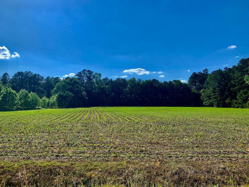 908 2nd Bend Rd, Harleyville, SC 29448