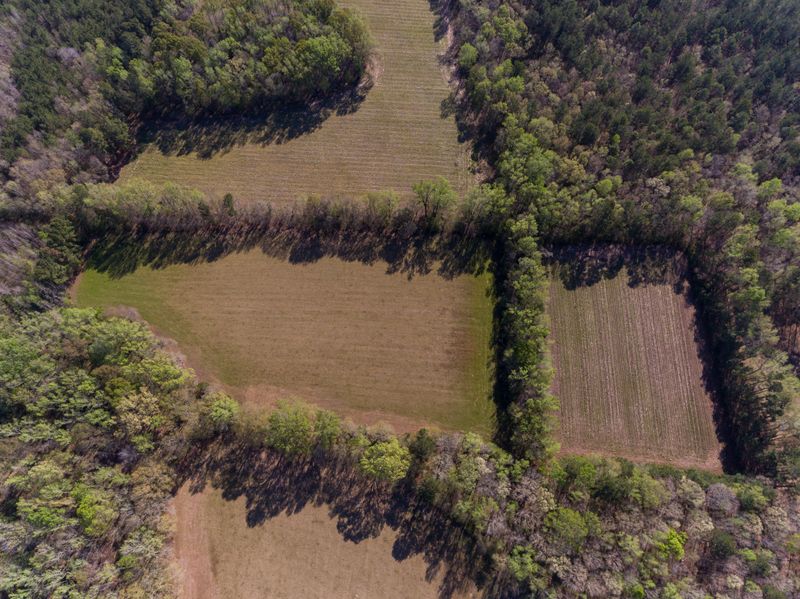 01 Myers Mayo Rd, Ridgeville, SC 29472