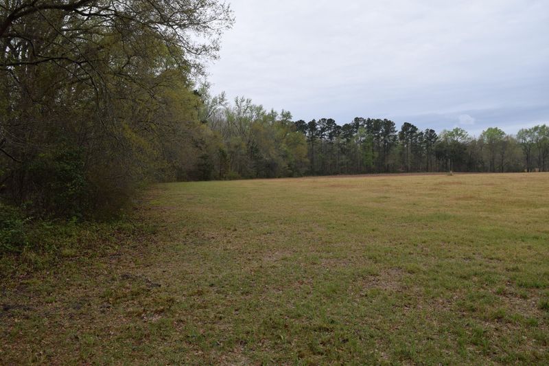 01 Myers Mayo Rd, Ridgeville, SC 29472