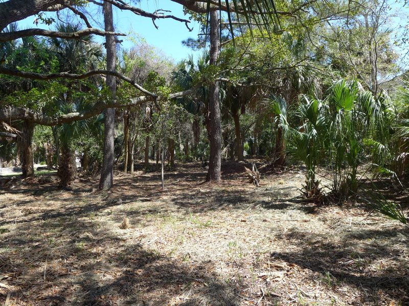 3204 Myrtle St, Edisto Island, SC 29438