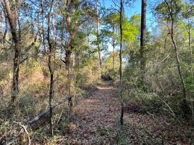 8456 Shell House Rd, Edisto Island, SC 29438