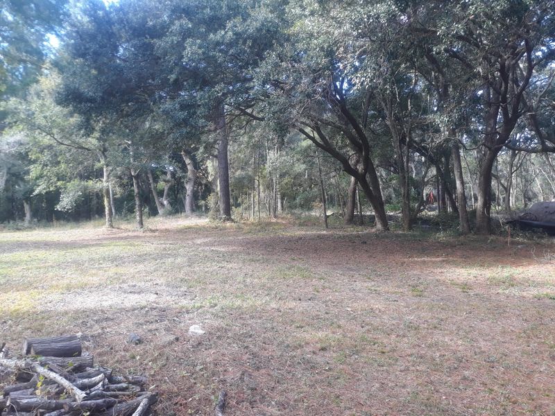 1876 Arsburn Rd, Charleston, SC 29412