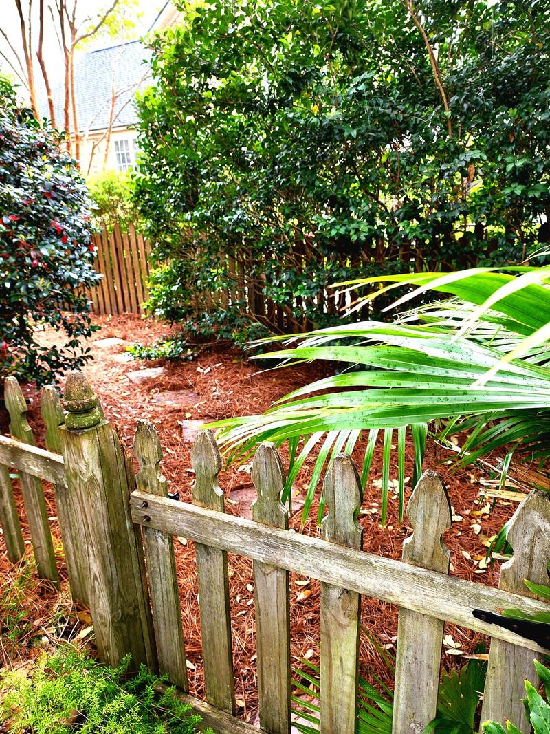 1296 Deep Water Dr, Mount Pleasant, SC 29464
