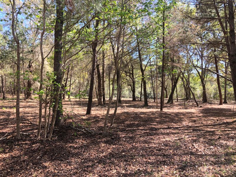 3205 Black Swamp Rd, Johns Island, SC 29455