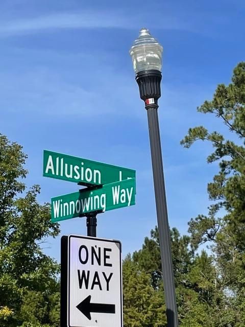 1241 Allusion Ln, Mount Pleasant, SC 29466