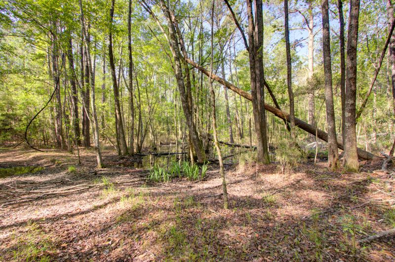 0 Savannah Hw, Ravenel, SC 29470