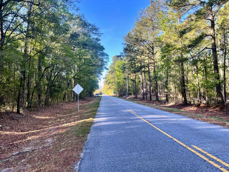 0 Pierce Rd, Ridgeville, SC 29472