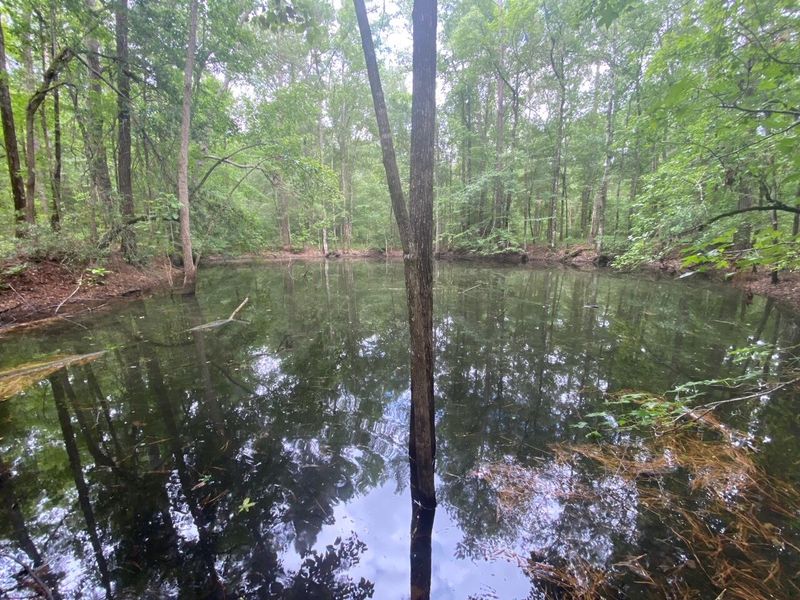 225 Cypress Hilll Ln, Summerville, SC 29483