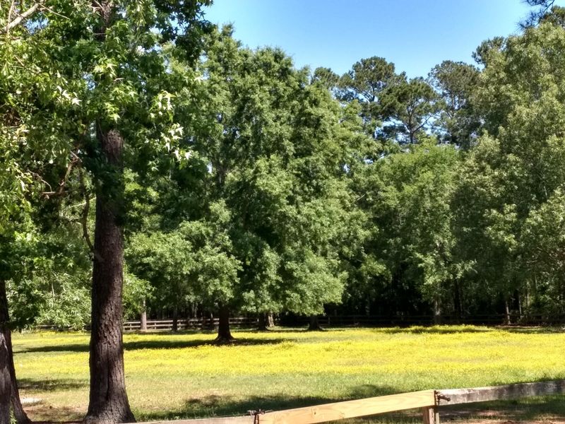 0 Tuxbury Farm Rd, Charleston, SC 29492