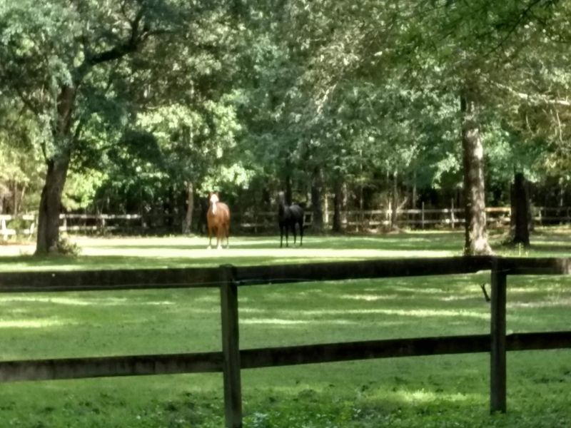 0 Tuxbury Farm Rd, Charleston, SC 29492