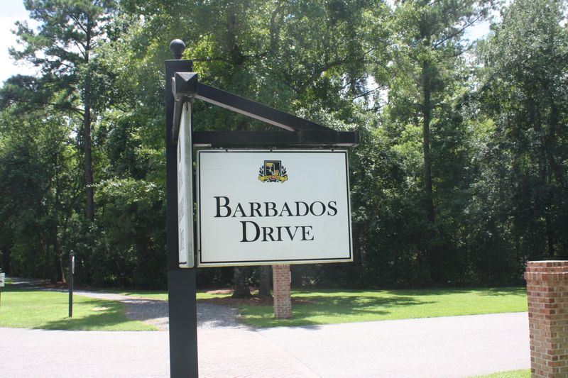 690 Barbados Dr, Charleston, SC 29492