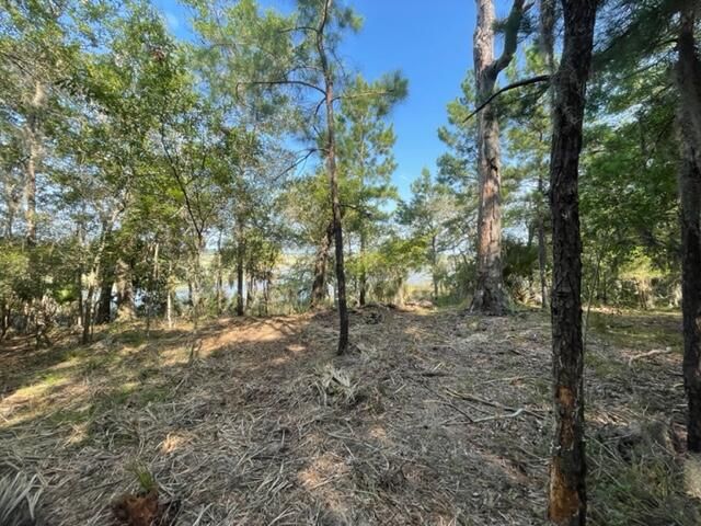 2155 Meggett Point Rd, Edisto Island, SC 29438