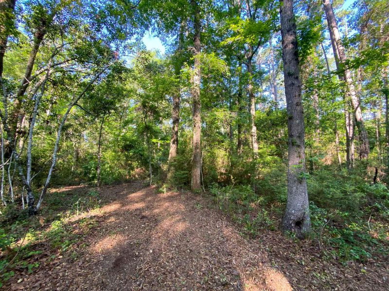 0 Martins Point Rd Lot 8, Wadmalaw Island, SC 29487