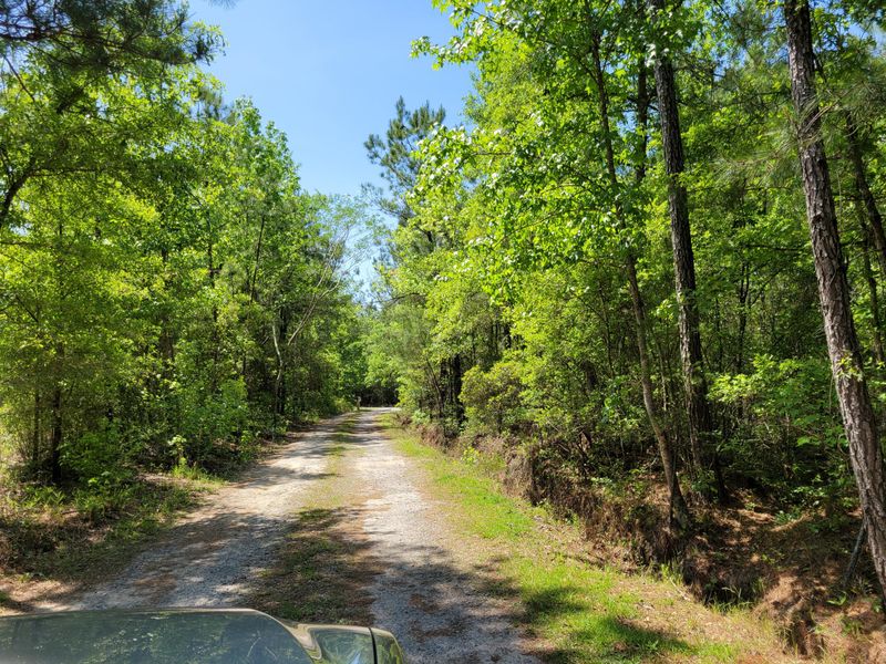0 Snakeman Ln, Saint Stephen, SC 29479