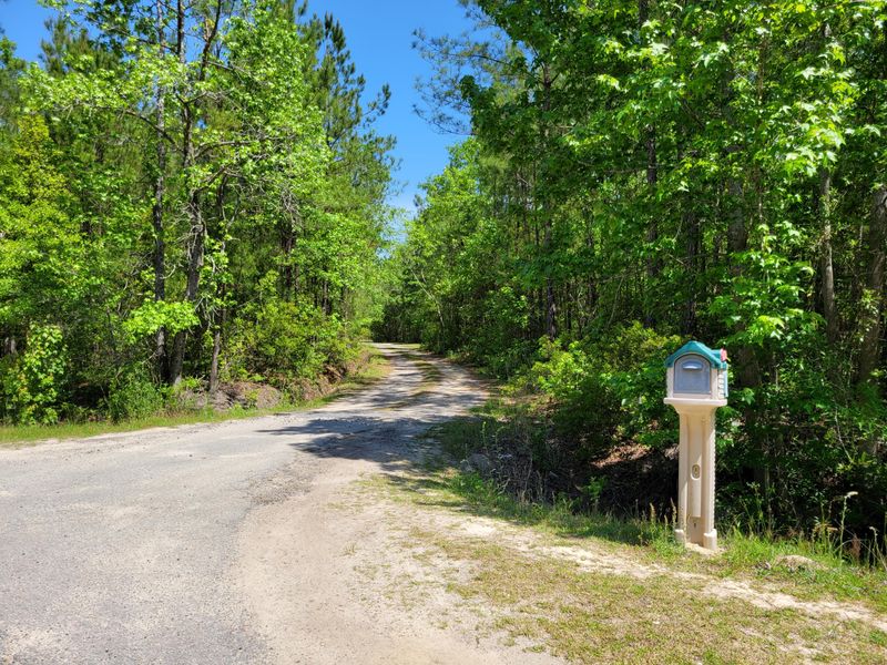 0 Snakeman Ln, Saint Stephen, SC 29479